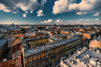 Крыши Петербурга / ***