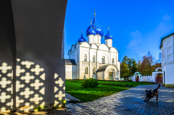 Первые посетители. / 2013 год.