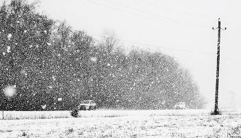 &quot;Мириадами летят мотыльки зимы холодной...&quot; / &quot;Сыплет, сыплет, сыплет снег.
 Над равниною бесплодной 
 Мириадами летят
 Мотыльки зимы холодной.
 Одноцветны, как тоска,
 Холодны, как злая доля,
 Засыпают все пути,
 Всю красу лугов и поля ...&quot;
 М.Цветаева