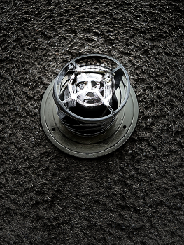 &nbsp; / Hervorstechend