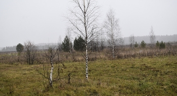 ты - не я; и я - не ты / _____