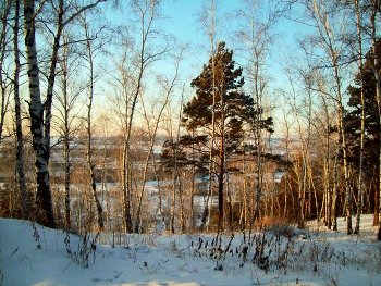 Зимний вечер / Иркутская область