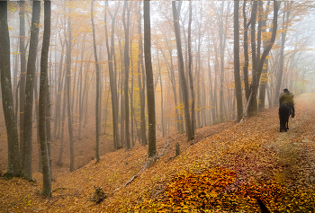 По лесным тропинкам / Крым