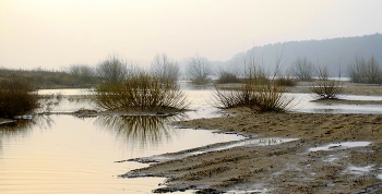 Весенние воды. / ***