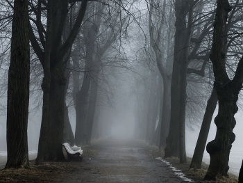 Последний снег..... / Петергоф. Красный пруд. Март