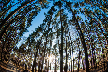 пикник Парк Белгород 2023 г / Nikon D 700 + Зенитар 16 мм