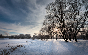 В зимнем парке... / ***