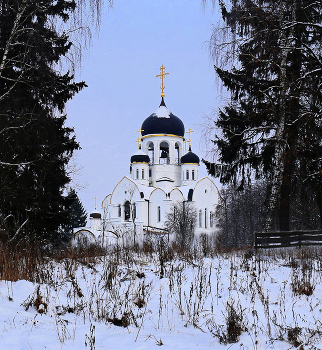 Воскресенское / ***