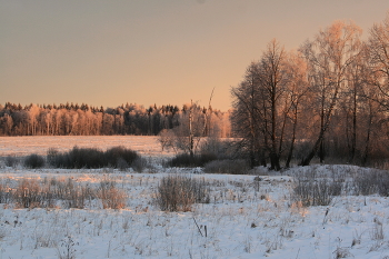 Рассвет зимой / Владимирская область