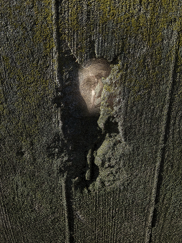 &nbsp; / Es ist alles gesagt