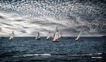 Регата (серия) / Я наполняю паруса
Восторженностью и мечтою
И всех, кто верит в чудеса,
Я, с радостью, беру с собою.