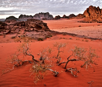Планета Вади-Рам / Пустыня Вади-Рам это марсианские пейзажи на Земле).