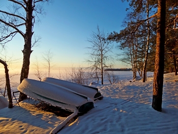 В вечернем свете.............. / Петербург. Репино. Январь