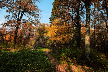 Осенний снимок / Ботанический сад