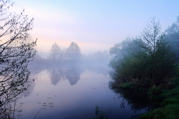 Майское утро. / Озеро Рожок на рассвете.
