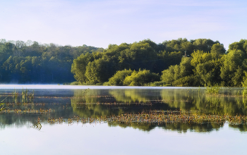 Над речной гладью / Ранним утром