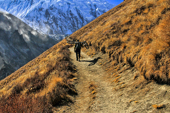 "Я буду долго гнать велосипед..." / Непал. Гималаи. Подъем к озеру Тиличо. До сих пор задаю вопрос - сколько нужно сил и дури, что бы тащить на горбу велосипед на высоте около 5000 м