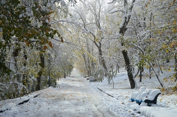 В аллеях осенних...... / Железноводск. Ноябрь