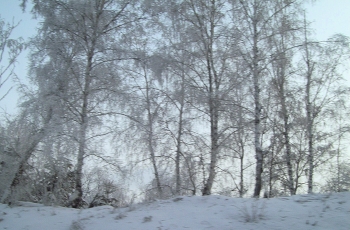 Зимние сумерки / Иркутская область