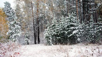 &nbsp; / Первый снег в конце сентября