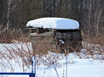 Серая заброшка (туалет) / ***