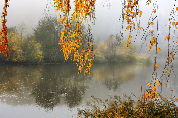 &nbsp; / утро было туманное
