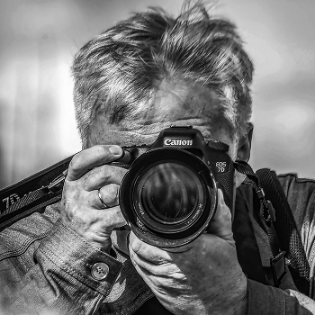 Фотожурналист / Человек работает