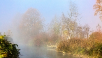  / morgennebel am fluss