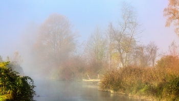 &nbsp; / morgennebel am fluss