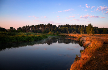 Утром на берегу Немана / Пейзаж