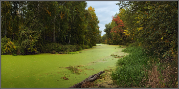 Осенняя тишина / Окрестности Карабаша, середина сентября