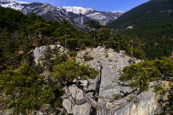 На Южных склонах Ай-Петри / Крым. Ай-Петри. 24.02.23