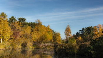 &nbsp; / Осенний мотив