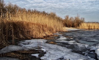 Февраль / Февраль. Достать чернил и плакать!
Писать о феврале навзрыд,
Пока грохочущая слякоть
Весною черною горит.
Достать пролетку. За шесть гривен,
Чрез благовест, чрез клик колес,
Перенестись туда, где ливень
Еще шумней чернил и слез.
Где, как обугленные груши,
С деревьев тысячи грачей
Сорвутся в лужи и обрушат
Сухую грусть на дно очей.
Под ней проталины чернеют,
И ветер криками изрыт,
И чем случайней, тем вернее
Слагаются стихи навзрыд.
(Борис Пастернак )
