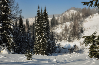 Домик в лесу зимой / Сибирь, Кузбасс, Таштагольский район