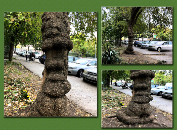 Природная скульптура / дерево, изображение, природа