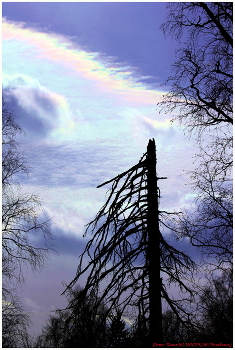 Радужные облака / Март в заповеднике ЗЮРАТКУЛЬ, март, -25 градусов мороза