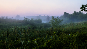 Утренний пейзаж. / У озера Сосновое.