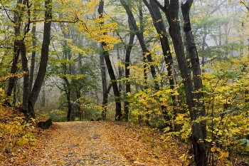 Осенний терренкур / Железноводск. Октябрь