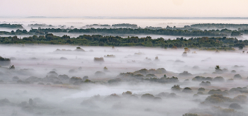 Мрое тумана / Туман