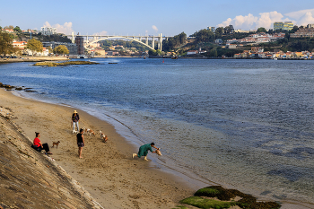 Зачем бросать собаку в воду? / Португалия, устье реки Дору, на левом (от меня) берегу город Порту, на правом город Вила-Нова-де-Гайя.