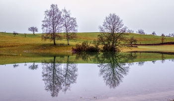  / sich spiegelnde Bäume im Eichener See