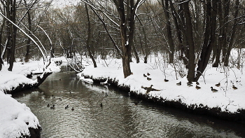 Иду на посадку / ***