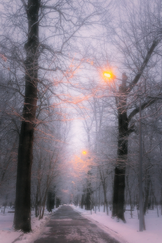 Тихо в парке, нет людей... / Аллея в Центральном парке культуры и отдыха имени М. Горького, г. Алматы.
