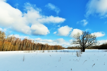 Март, весна, голубое небо, белые облака ... / Мартовский этюд ...