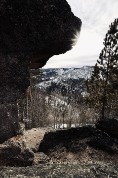 Собачка / ***