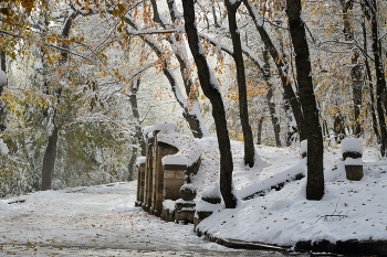 Снежная осень..... / Железноводск. Ноябрь