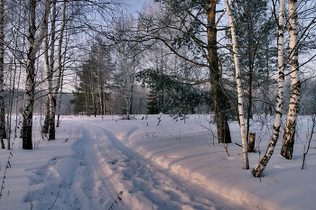Морозно. / Томская область.