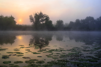 Тёплое летнее утро. / Озеро Студёное.