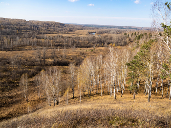 Осень / осень